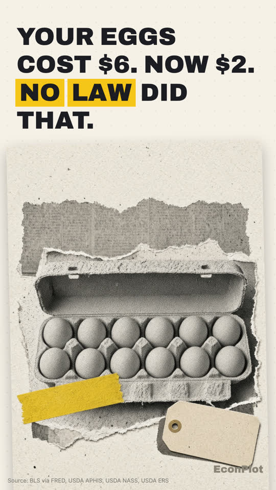 Explainer cover: egg prices