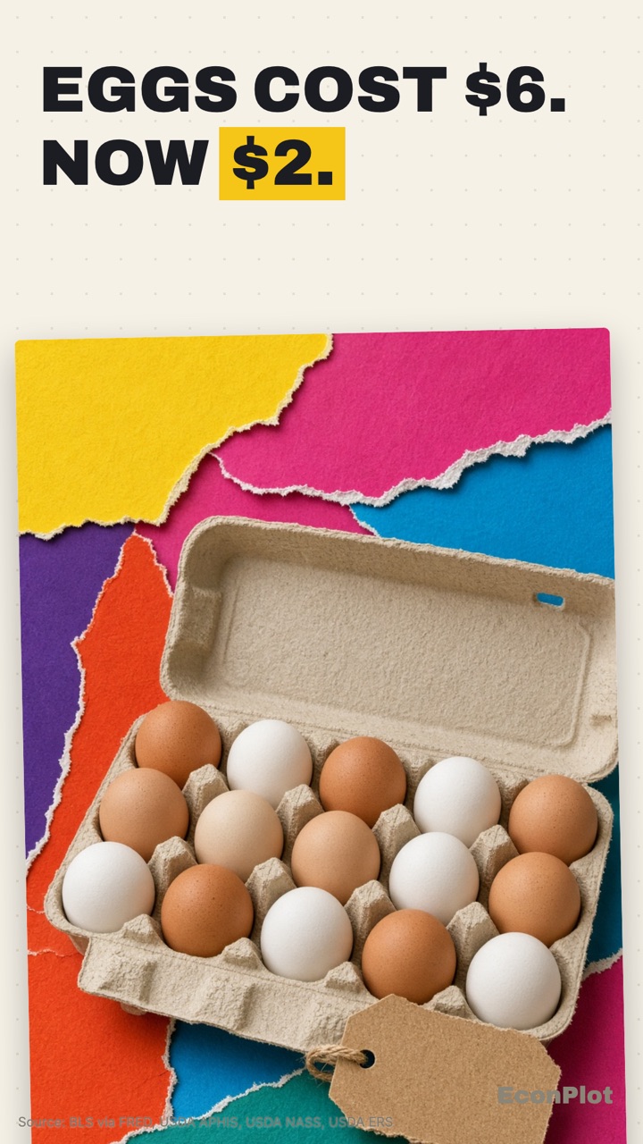 Explainer cover: egg prices